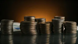 Investment Insights: Navigating the Market in India