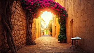 Provence & Riviera: Unveiling the Charms of Nice, Arles, Aix, and Monaco