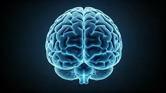 5 Exercises to Boost Brain Power & Memory