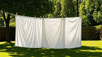 Healthy Living: Indoors vs. Outdoors – Expert Insights