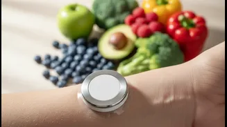 Wearable Blood Sugar Sensors Help Users Decode Their Meal Patterns