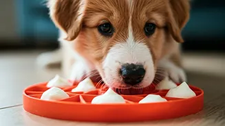 Freeze Plain Yogurt Inside Enrichment Mats For Excited Puppies