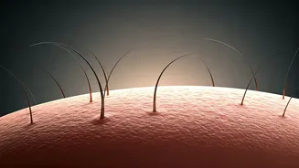 Unlock Fuller Hair: The Art of Scalp Massage for Bald Spot Regrowth