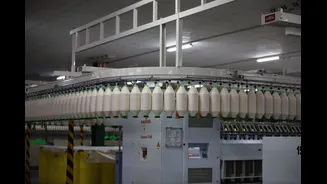 Nava Raipur Textile Park to Create 4,650 Jobs with Rs 235 Crore Investment