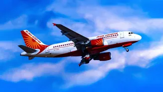 Fare alerts for mid week departures help budget travellers find cheap domestic flights