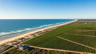 Long Island: Beyond the Stereotypes - Beaches, Wineries & Culinary Delights