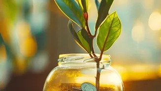 Managing Festive Loan Offers: Spot Hidden Processing Fees Before Accepting Credit