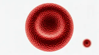 Unveiling Iron Deficiency in Children: Signs & Prevention