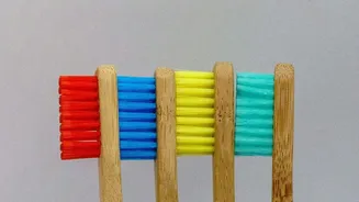 Why Sustainable Bamboo and Ceramic Products Are Becoming Favoured Diwali Gifts In India
