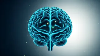 Sharpen Your Mind: 3 Simple Lifestyle Shifts to Significantly Lower Dementia Risk