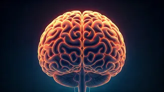 Boost Kids' Brains: 10 Morning Habits