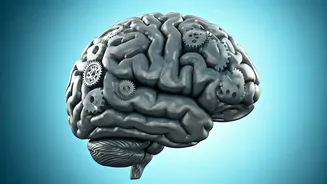 Reduce Dementia Risk with Daily Brain Workouts