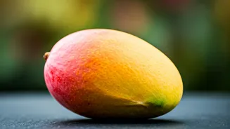 India's Mango Obsession: Why Less Than 1% Are Exported & The Hilarious Online Reaction