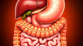 The Body's Response to Ghee and Oil Cessation