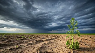 Food Companies Know Monsoon Risk Hits Demand