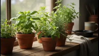 A Small Herb Corner Can Make Everyday Meals Feel More Connected