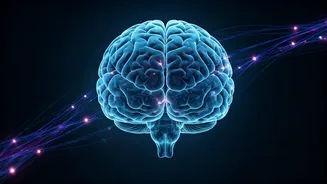 Unlocking Your Mind: A Deep Dive into How We Form and Recall Memories