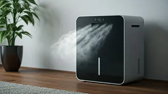 Breathe Easy: Top Dehumidifiers for a Healthier, Fresher Home Environment