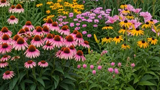 Uninterrupted Summer Blooms: Your Guide to 19 Gorgeous Perennials