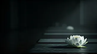 The Energetic Aura: How Clothing Colours Influence Your Inner World