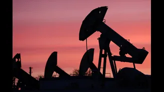 India's Russian Oil Imports Hit Record High As Iran War Disrupts Supplies. Will It Keep Petrol Prices In Check?