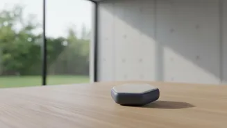 Wearable Sweat Sensors Offer Real Time Hydration Tracking During Humid Outdoor Workouts