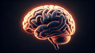 Unlock Your Well-being: The Essential Power of Expressing Your Feelings