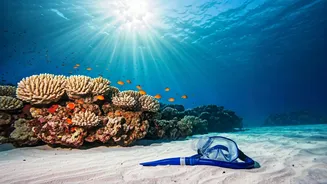 Scuba Makes A Beach Vacation Feel Like Discovery