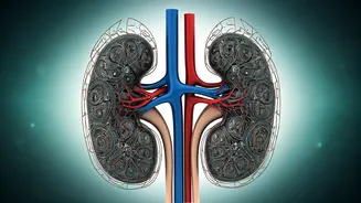 Rana Daggubati's Post-Kidney Transplant Journey: Navigating Challenges and Returning to Work