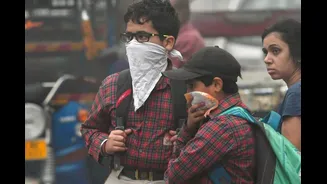 Ground-Level Ozone: Delhi's New Pollution Problem And How It Impacts Your Health | Explained