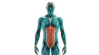 Beyond the Scale: Understanding the 'Skinny Fat' Phenomenon and Its Metabolic Risks in India