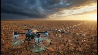 Climate Farming Needs More Than Weather Forecasts