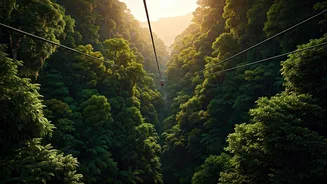 India's Most Scenic Zipline Rides Await