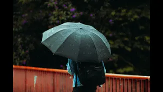 Bangalore's rainy week ahead — IMD predicts 5 days of showers across the city