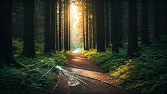 Post-Exam Life: Mental Health Struggles and Rebuilding Confidence