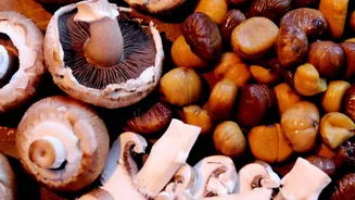Mushroom + chestnut: A combo you must try!