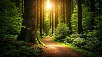 Navigating Life's Journey: Insights & Perspectives