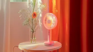 How Morning Sunlight Exposure Habits Counteract Daily Screen Fatigue And Fog