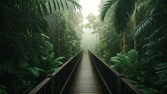 Monsoon Makes Canopy Walks Truly Spectacular
