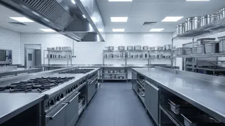 Putting Pest Control in Commercial Kitchens in Context with Fresh Restaurant-Kitchen Inspections in India