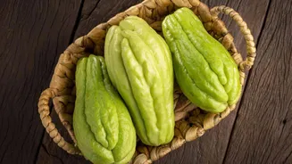 Chayote: A versatile vegetable with big benefits