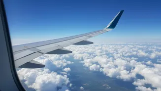 International Flight Cancellations: How Travellers Can Confirm Their Journey
