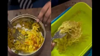 ‘Saddest Video’: Kids’ Tiffins Packed With Chips, Maggi Spark Health Debate — Parents, Here’s What To Pack Instead