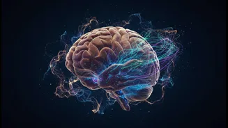 Why ancient neurological assumptions are replaced by dynamic cerebellar brain cell models