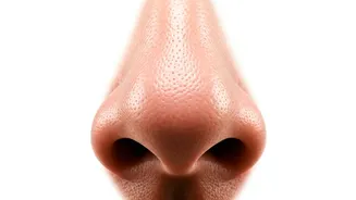 Face Yoga: Reverse the Hands of Time for Your Nose?