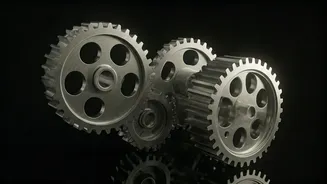 India's Law of Attraction: Salary Secrets Unveiled