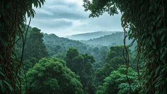 Adventure Junkies Are Loving This Rainy Escape