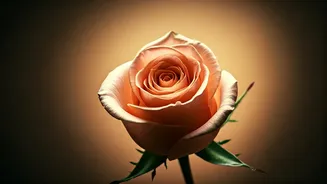 Ready for Love? 4 Crucial Questions Before Falling in Love Again