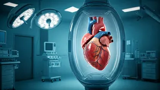 Navigating Heart Health Amidst Delhi's Pollution