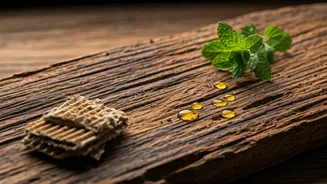 5 Viral Home Remedies to Banish Termites (Deemak) Naturally!